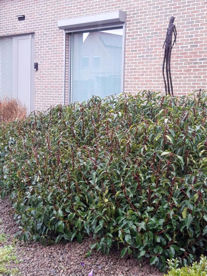 B&B Bergdal Gits Exterior photo